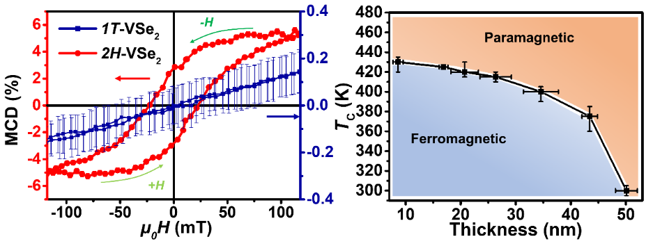 Discovery of intrinsic high-temperature ferromagnetism in 2D vanadium diselenide